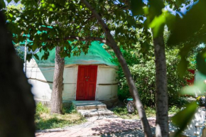 Arista Yurt Camp